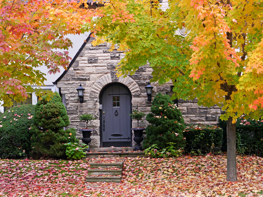 home exterior, autumn, fall leaves