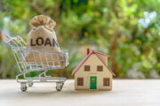 loan money in bag, shopping cart, small model house