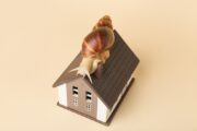 snail crawling on model house, slow real estate market